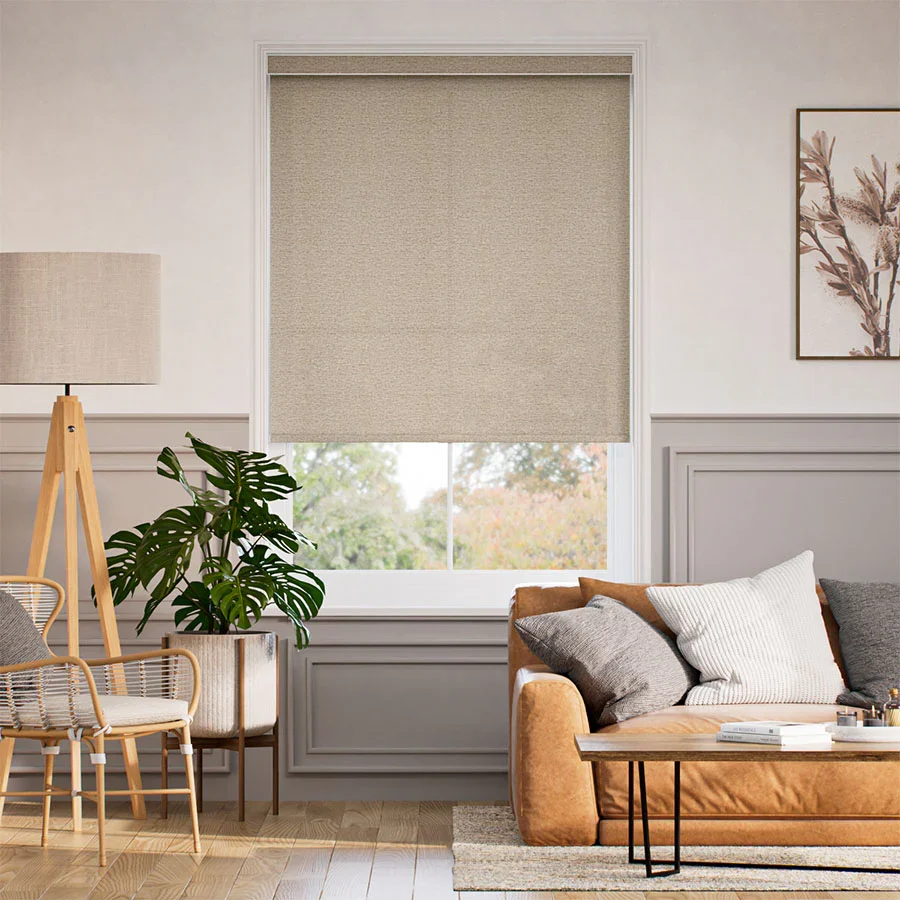 rollershades